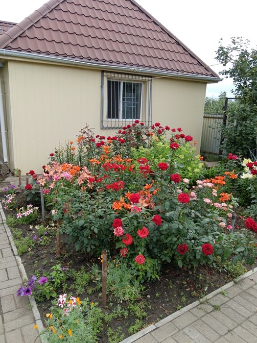 Продам дом в дачном обществе Садовод