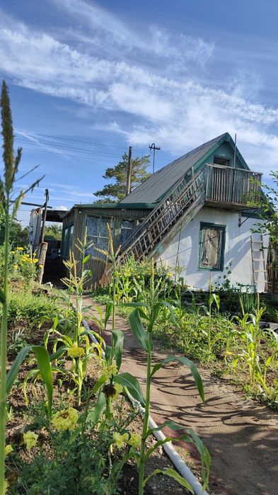 Дача, ПК Автомобилист