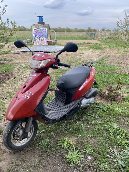 Honda dio   Мопед