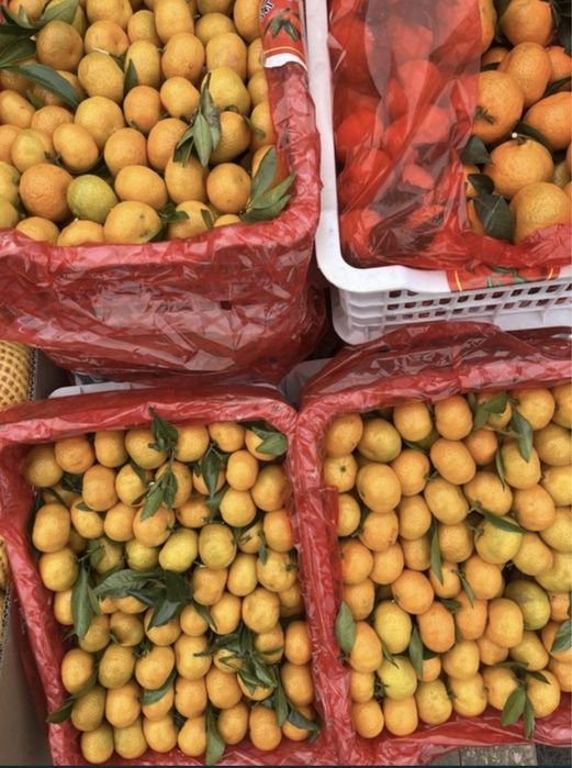 Мандарины оптом королевские