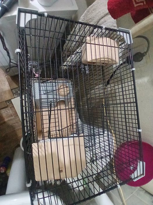 Продам клетку хомяка за 6-7к