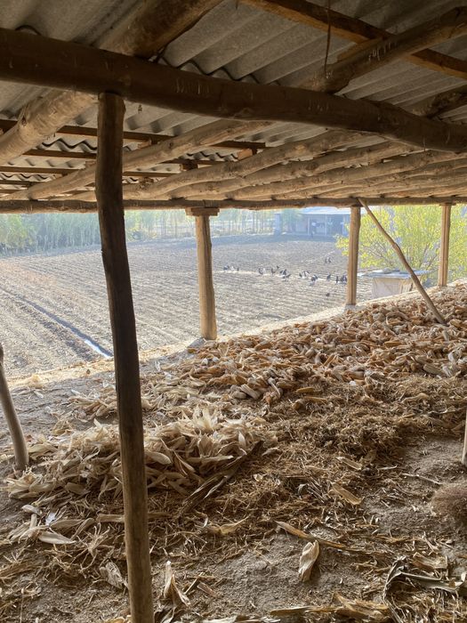 Йер участкаси сотилади