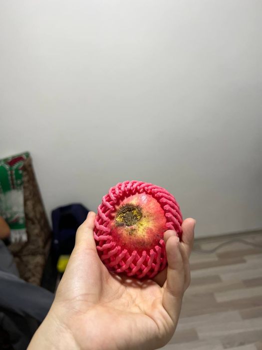 Anor Setka MEVA SETKA , turli xil meva setka ishlab chiqazamiz