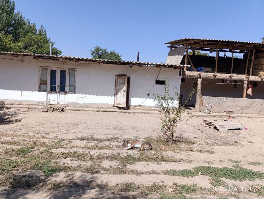 Uchastka 6sotik sotiladi yashash uchun xam sharoiti bor