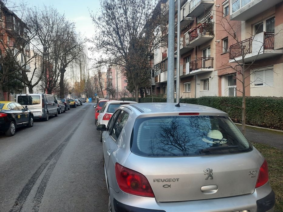 Vand Peugeot 307
