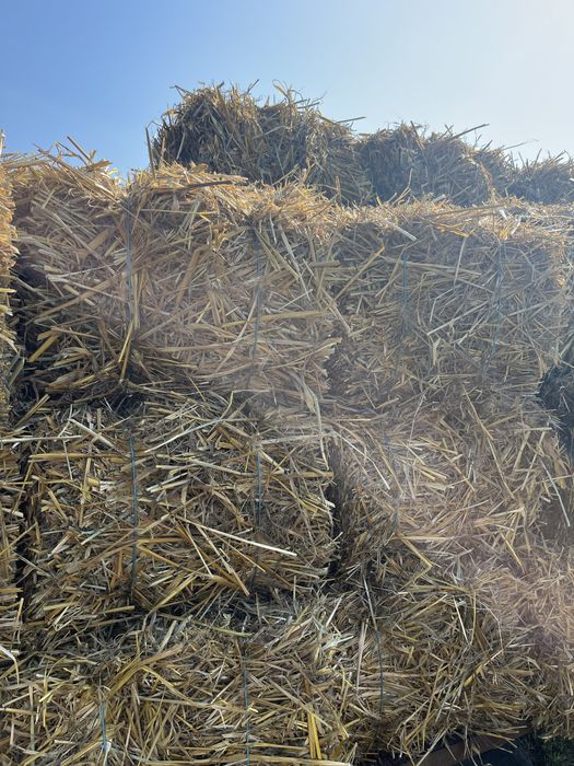 Vand baloti de paie ovaz