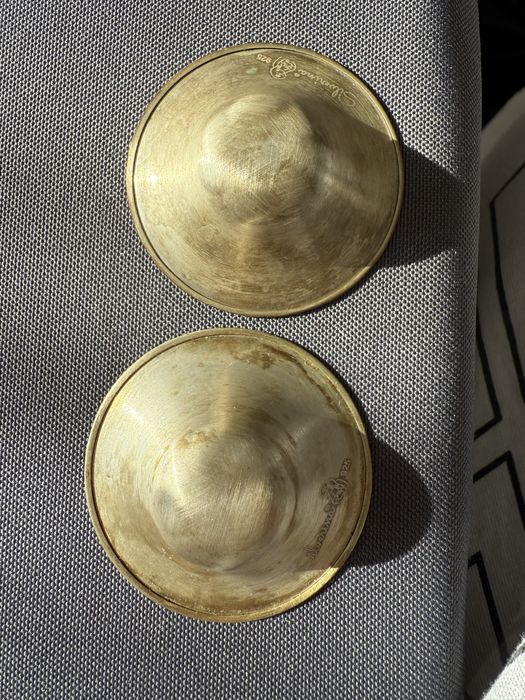 Сребърни протектори за кърмачки Silverina