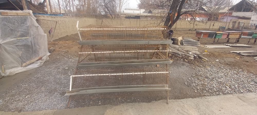 Katak 6 dona taklanib yigiladi