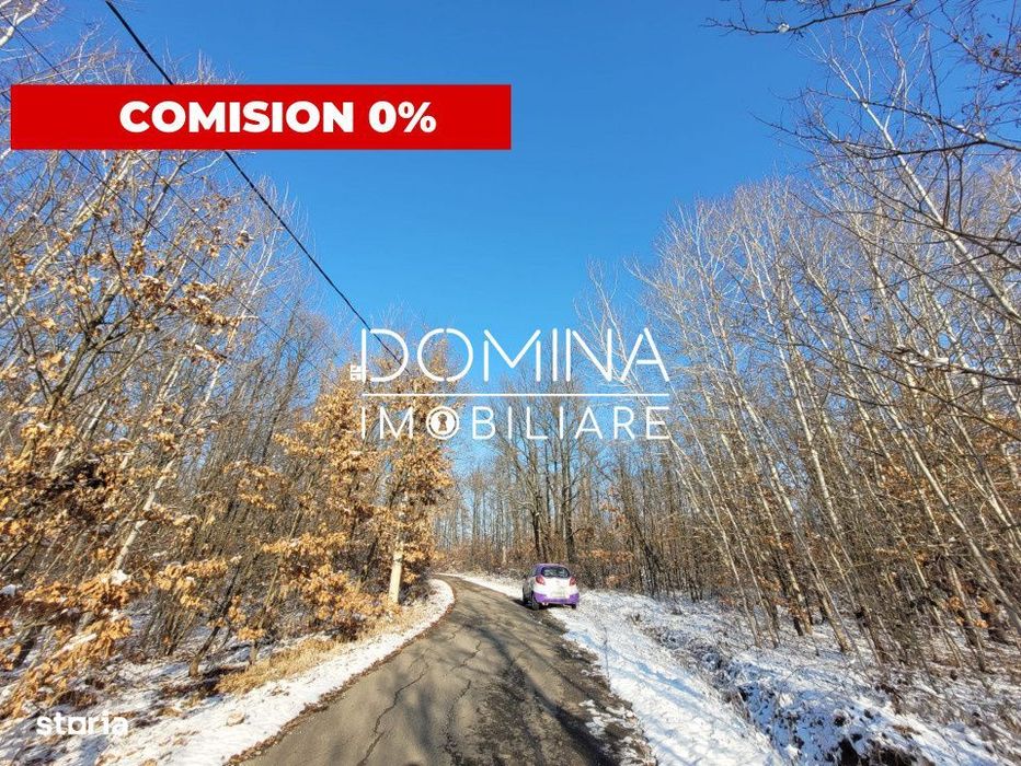 Vanzare teren intravilan, in Scoarta, sat Pistestii din Deal