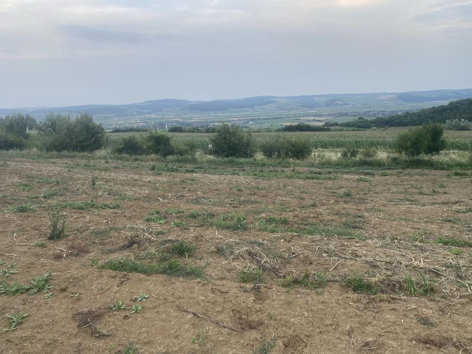 Teren watman 1500 m2