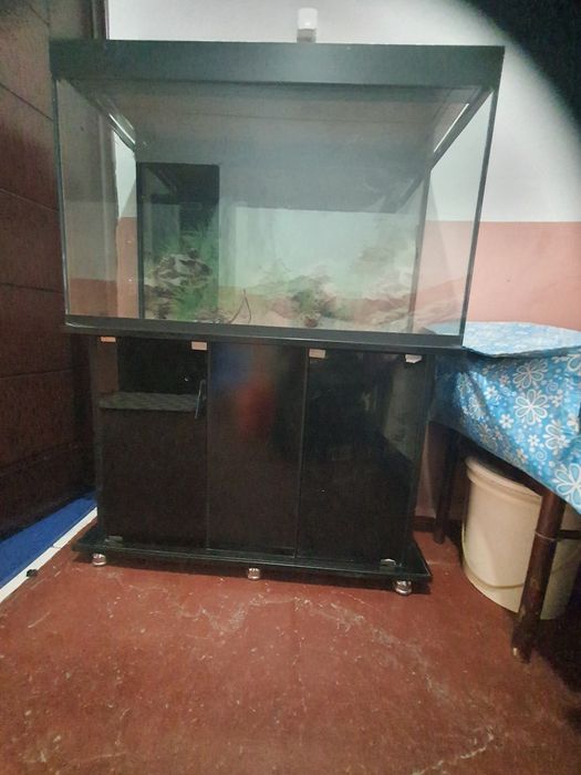 Akvarium sotiladi. Algoritm 31 kvartalda.
