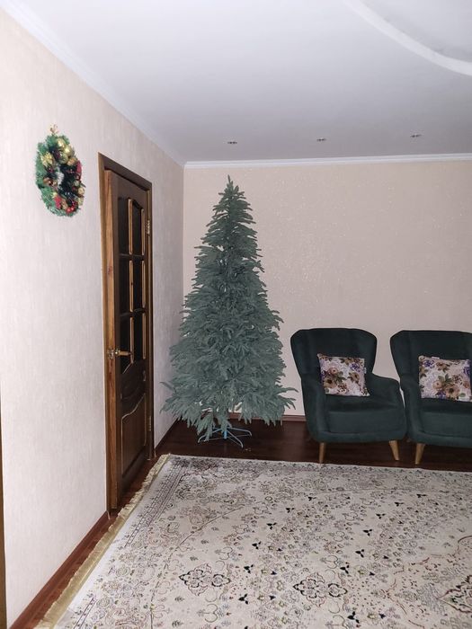 Продам голубую ель