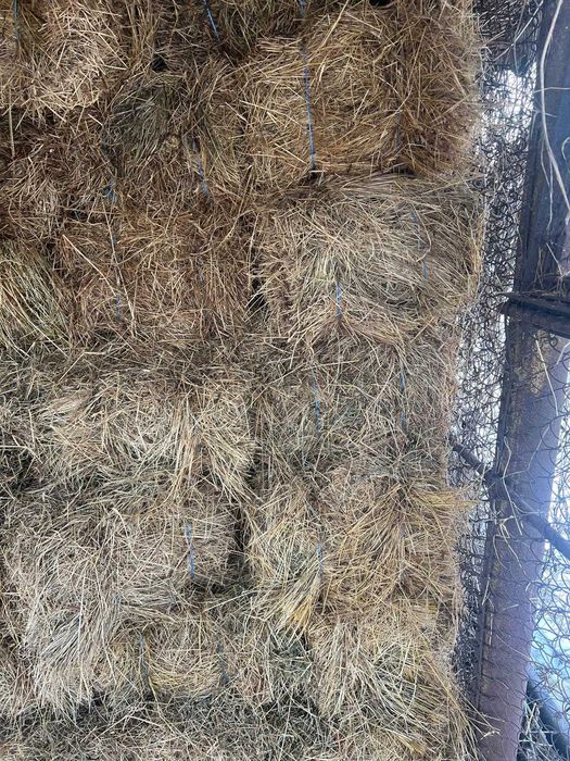 Baloti de paie cu fan