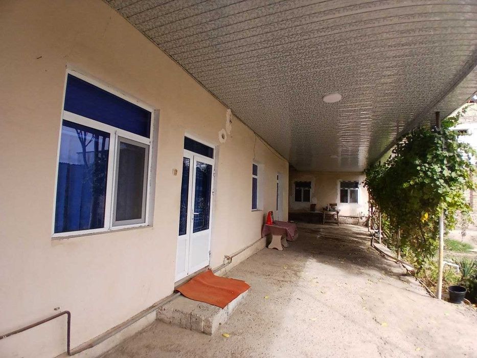 shofirkon tumanida hovli