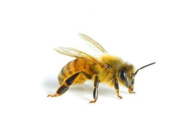 Дезинфекция 24/7