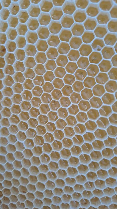 Vand miere de poliflora si salcam