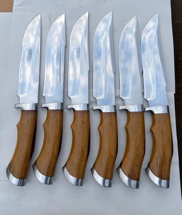 Pichoqlar axotichniy