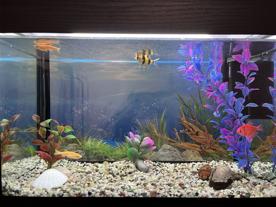 Аквариум 20л (с подсветкой)