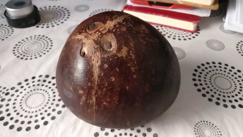 Кокос свежий питьевой
