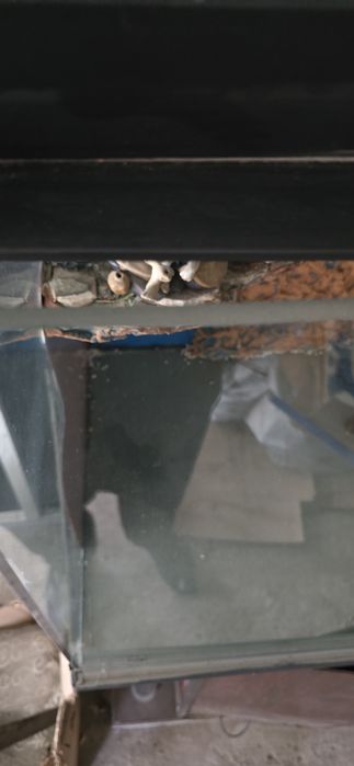 Продам Аквариум 400 - 500 литр