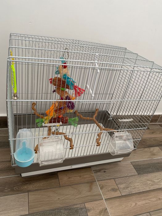 Colivie papagal și accesorii