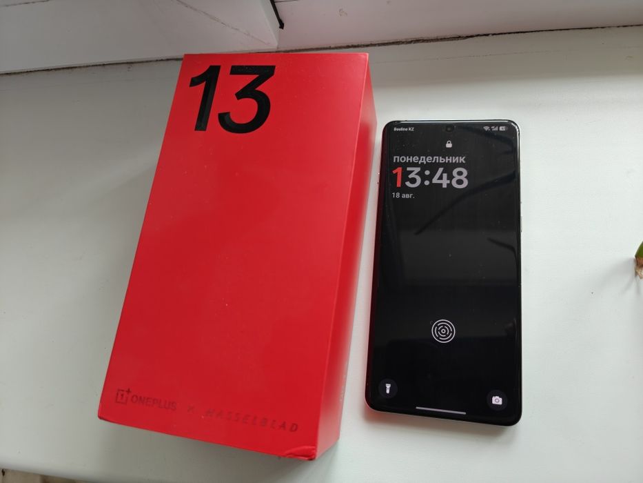 Oneplus 13 CN 12/256
