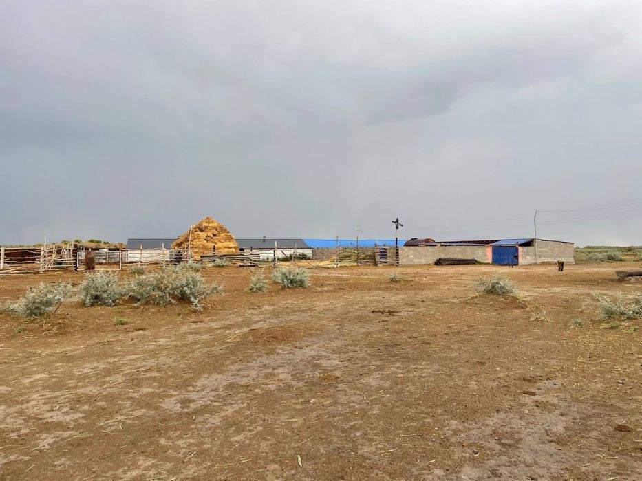 Фазенда / Ферма / КХ / Мал шаруашылығы / Откорм