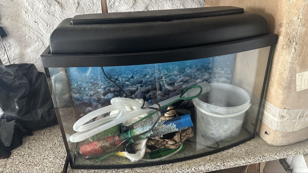 Аквариум 40л Аквариум 40л Аквариум 40л Аквариум 40л