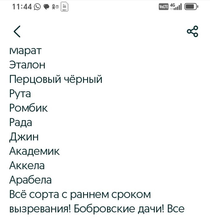 Продам саженцы винограда!