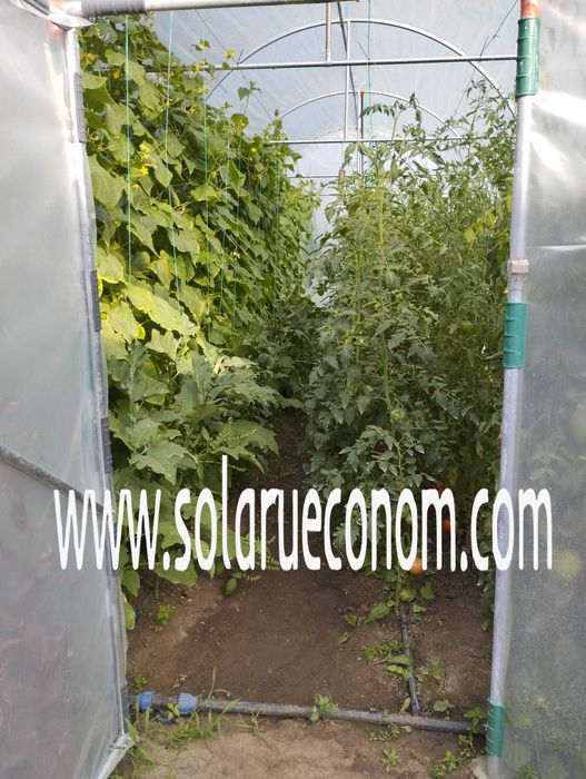 Solarii (sere) de gradina cu stuctura din teava zincata sau neagra