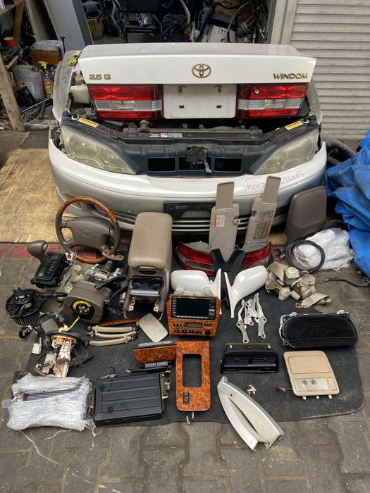 Ноускат Виндом 21