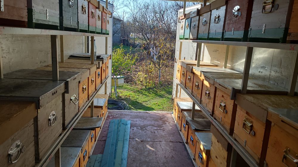 Omologat Apicol- camion MAN 12t