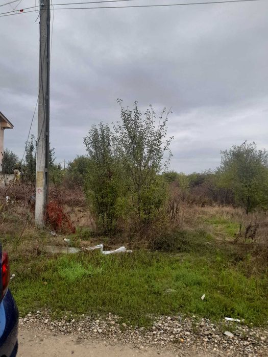 Vanzare teren Mogosoaia