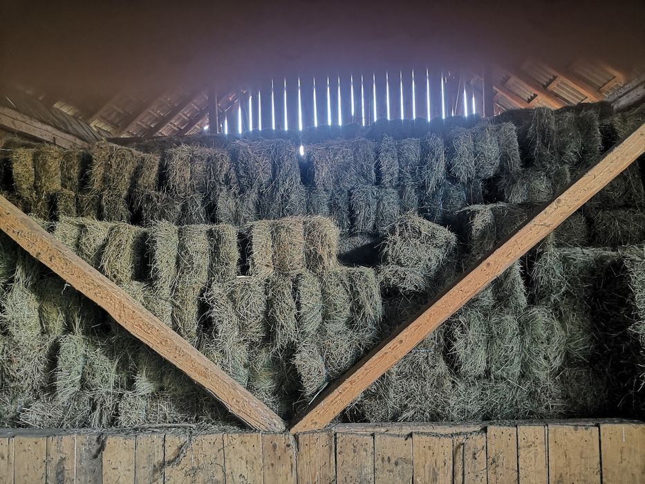 Baloti fan dreptunghiale