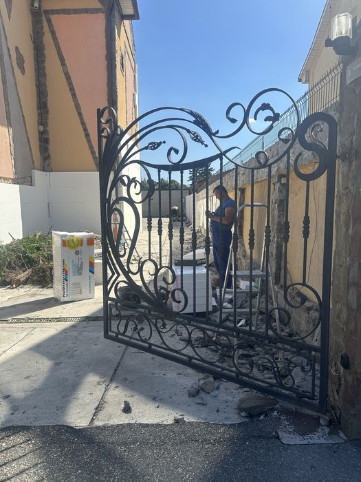 Poarta dubla + poarta mica intrare + 5 panouri fier forjat