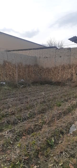 Somon va makayi poya sotiladi