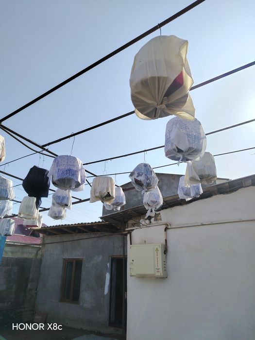 Сайроки  Беданалар ЧИРЧИКДА СОТИЛАДИ