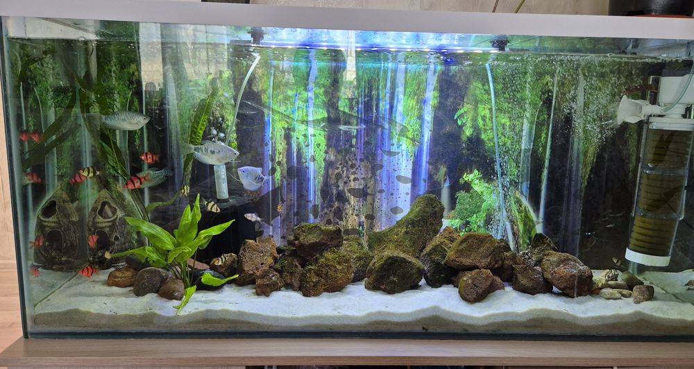 Продам аквариум.