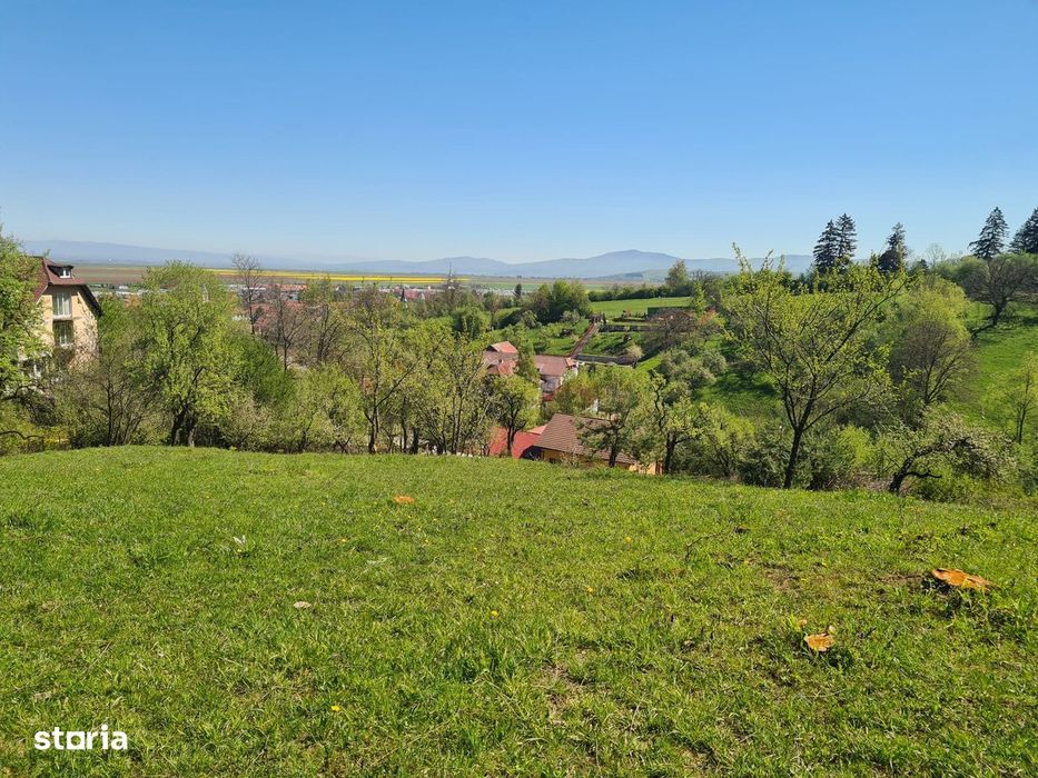 Teren deosebit - 1500 mp, Poiana Angelescu, Str. Livezii