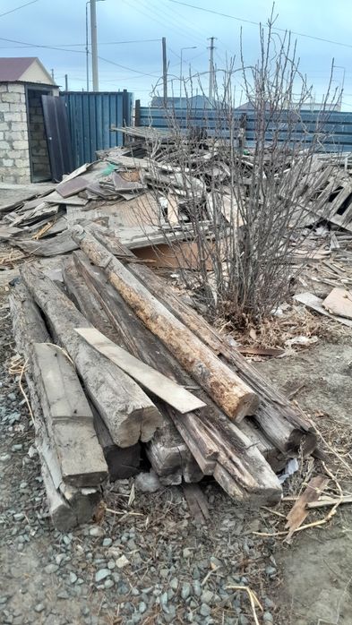 Ағаштар тегін тегін тегін