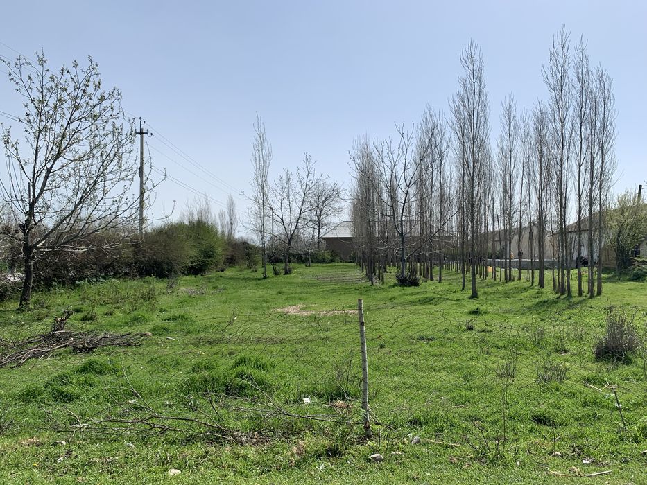 Йер 15 сутик сотилади