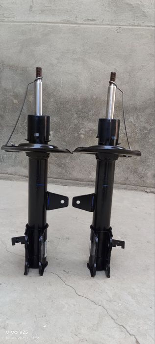 BYD champion amartizator