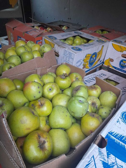 Mere pentru consum calitatea 1