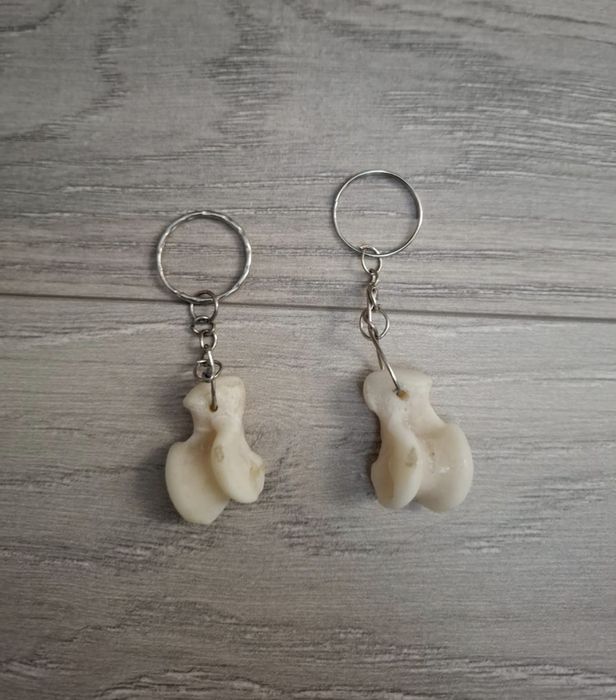 Асык волка / асық