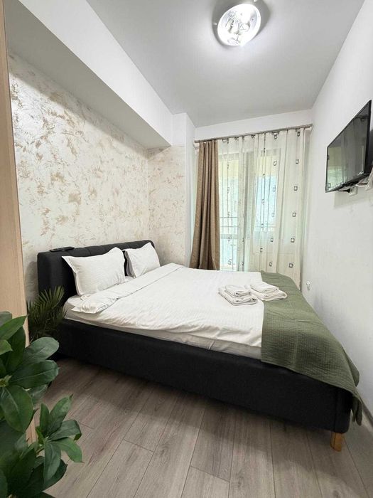 IS Cazare Regim Hotelier Apartamente 1/2/3 Cam Palas/Centru/Newton