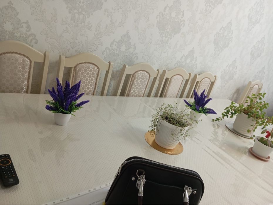 Продам стол со стальями