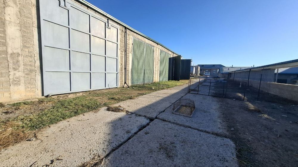 Майскида 7 гектарли ферма сотилади