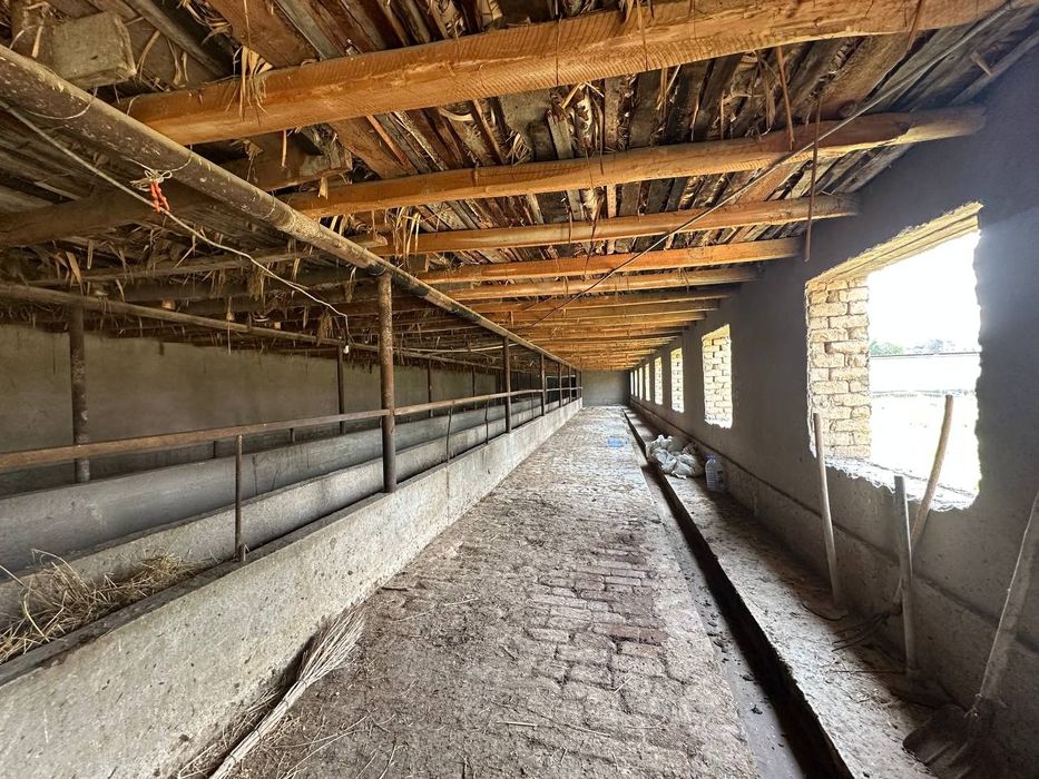 Срочно продается ферма 24 сотки Янгиюль Захарьевский