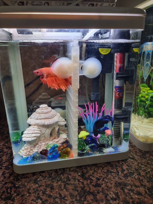 Продам два аквариума