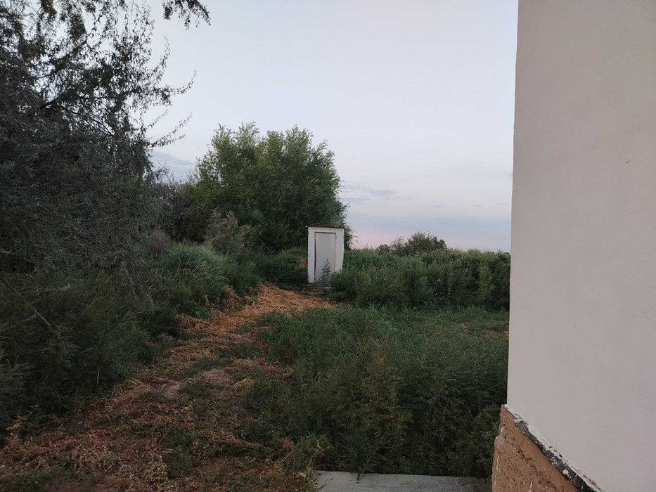 Дача Сатылады, Шагал Копир.